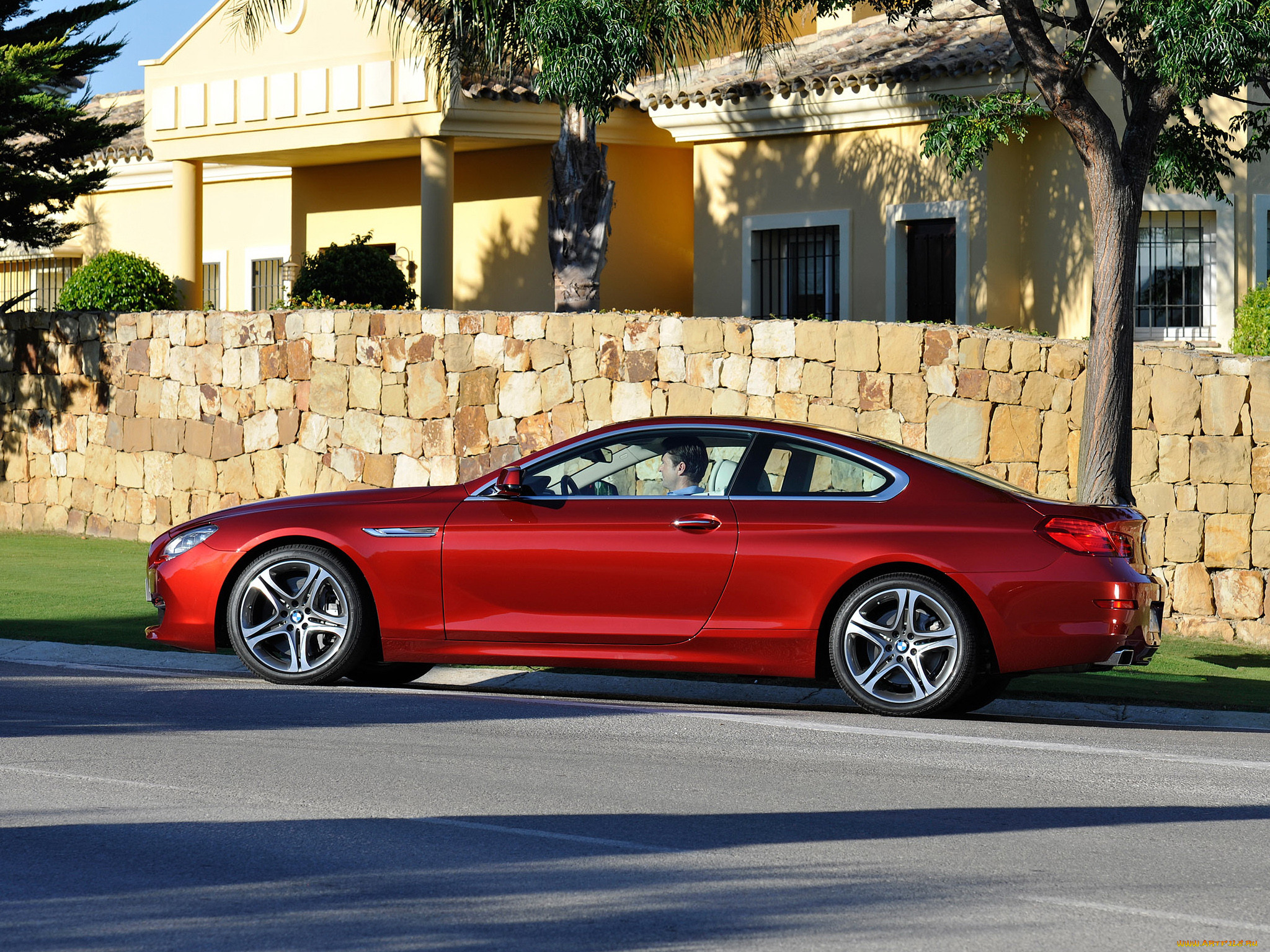 , bmw, coupe